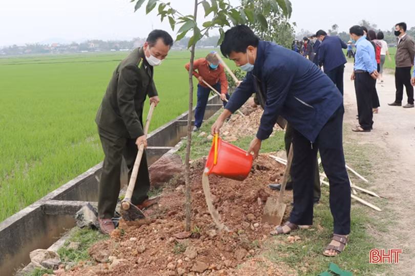 Can Lộc phấn đấu trồng khoảng 45.000 cây xanh trong năm 2021