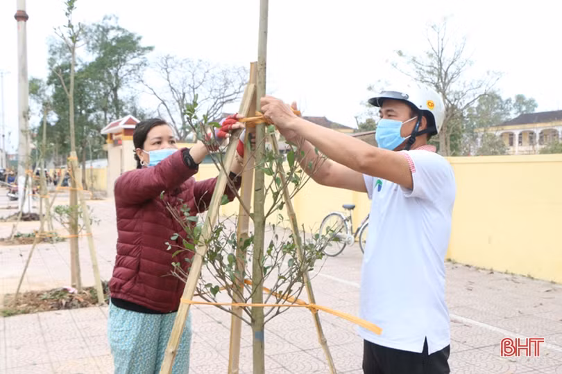 Mùa xuân, người người nô nức trồng cây