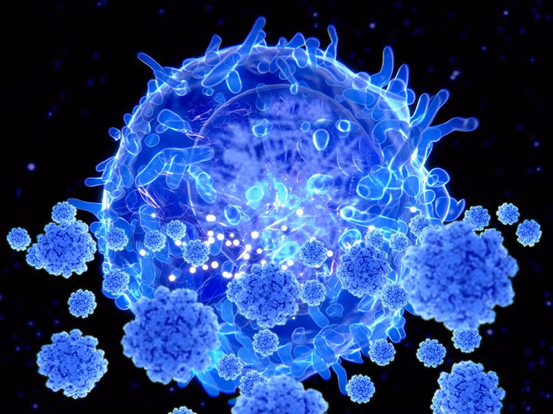 Tế bào T ‘sát thủ’ - hy vọng trong cuộc chiến với biến thể mới của SARS-CoV-2