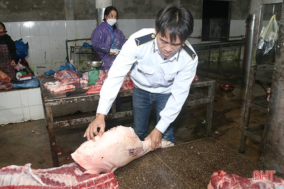 Thành lập đoàn kiểm tra chất lượng an toàn thực phẩm nông, lâm, thủy sản