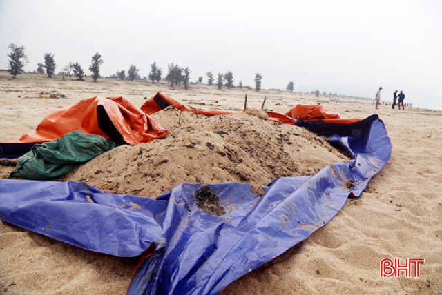 Tiến hành thu gom dầu tràn trên bờ biển Kỳ Lợi