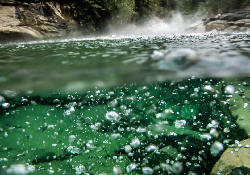 Dòng sông luộc chín mọi sinh vật rơi xuống