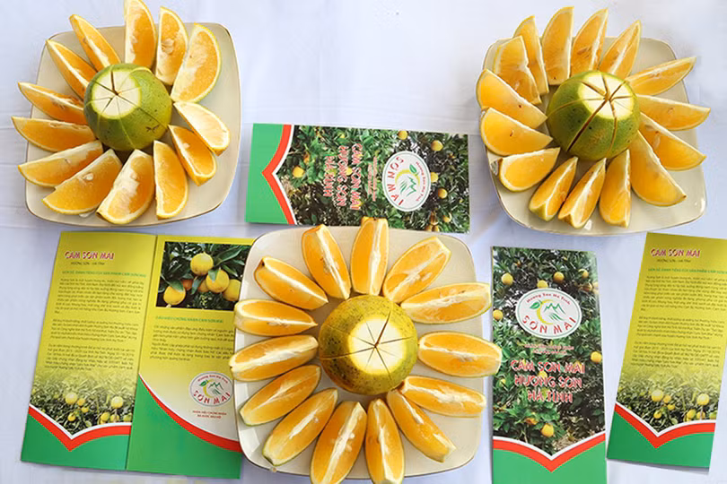 Hành trình đưa sản vật “Cam Sơn Mai” đạt văn bằng bảo hộ nhãn hiệu
