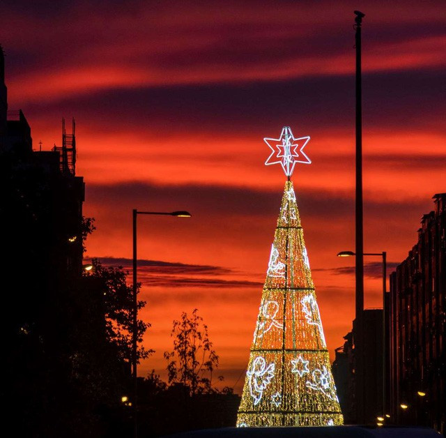 Choáng ngợp những cây thông Noel lung linh trên khắp thế giới