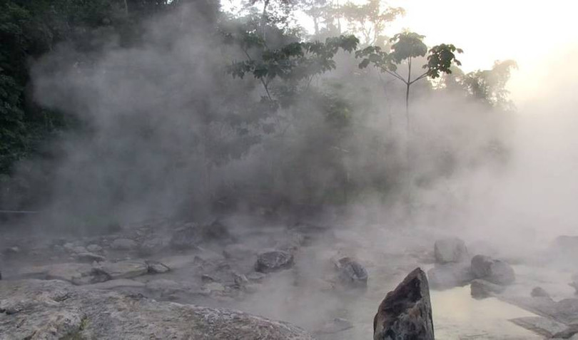 Dòng sông luộc chín mọi sinh vật rơi xuống