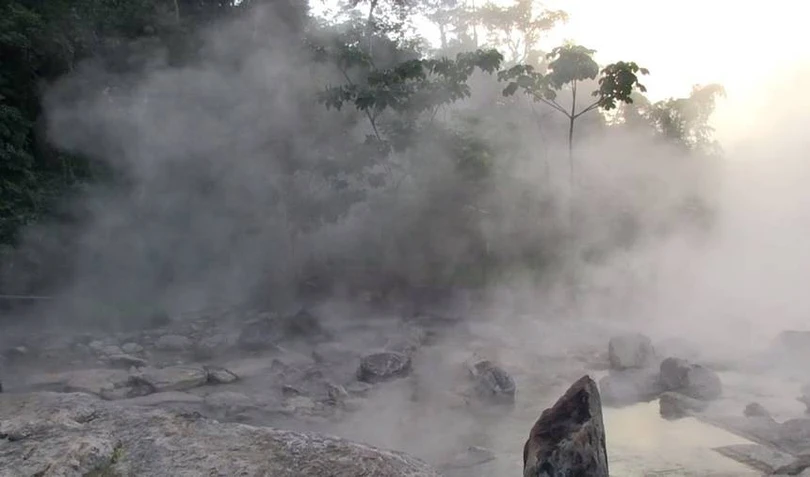 Dòng sông luộc chín mọi sinh vật rơi xuống