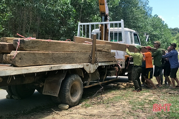 Hà Tĩnh tịch thu hơn 252 m<sup>3</sup> gỗ và 16.000 kg lâm sản khác
