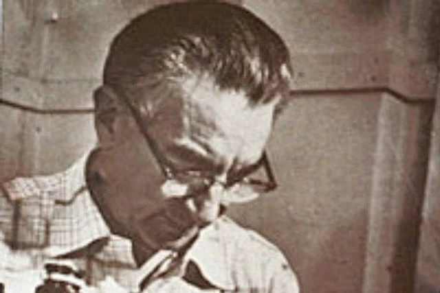 Cây cổ thụ lâu đời nhất thế giới vẫn còn sống