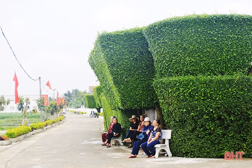 Nêu cao tinh thần trách nhiệm trước Đảng, Nhân dân, thực hiện thắng lợi mục tiêu Nghị quyết Đại hội Đảng bộ xã Hương Trạch đề ra