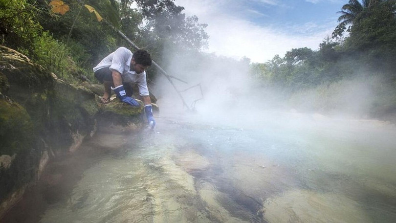 Dòng sông luộc chín mọi sinh vật rơi xuống