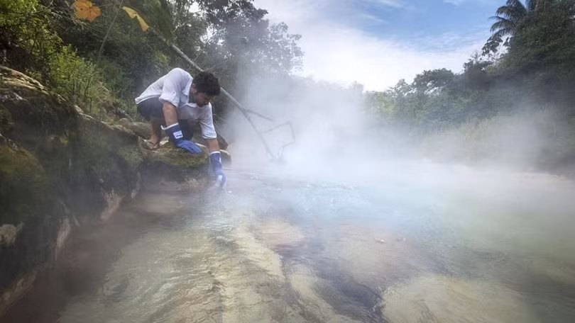 Dòng sông luộc chín mọi sinh vật rơi xuống