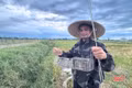 "Thợ săn" chuột đồng