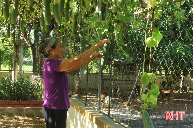 Người cao tuổi Hà Tĩnh chia sẻ bí quyết sống vui, khỏe, có ích ảnh 2 Người cao tuổi Hà Tĩnh chia sẻ bí quyết sống vui, khỏe, có ích