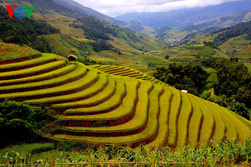 Mùa thu, những địa điểm du lịch nổi tiếng Việt Nam không thể bỏ qua