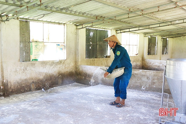 Hơn 10 tỷ đồng vốn vay chăn nuôi lợn ở Hà Tĩnh được cơ cấu lại thời gian trả nợ