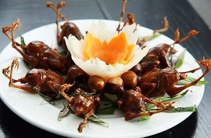 Món ăn - bài thuốc từ chim sẻ