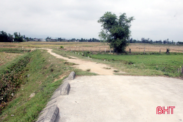 Hà Tĩnh còn 86 km đê điều xuống cấp chưa được nâng cấp