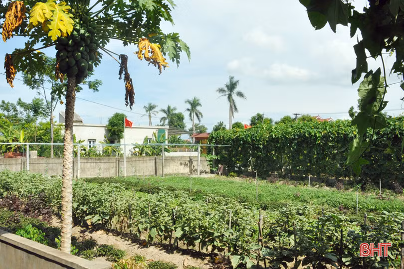 Cán bộ, lãnh đạo Savannakhet tham quan nông thôn mới Hà Tĩnh