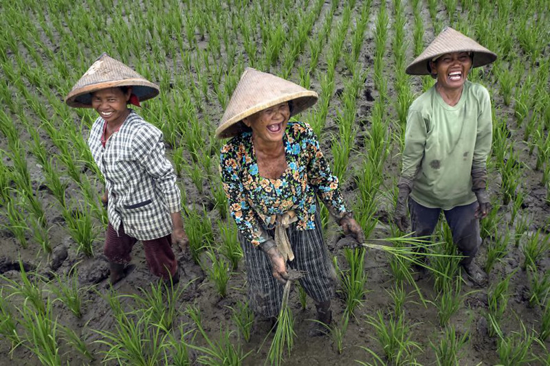 những khoảnh khắc hạnh phúc giản dị khiến bạn cũng thấy Những khoảnh khắc hạnh phúc giản dị khiến bạn cũng thấy “vui lây”