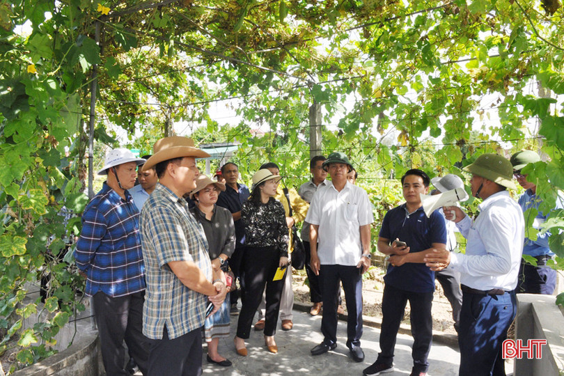 Cán bộ, lãnh đạo Savannakhet tham quan nông thôn mới Hà Tĩnh