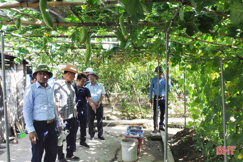 Cán bộ, lãnh đạo Savannakhet tham quan nông thôn mới Hà Tĩnh