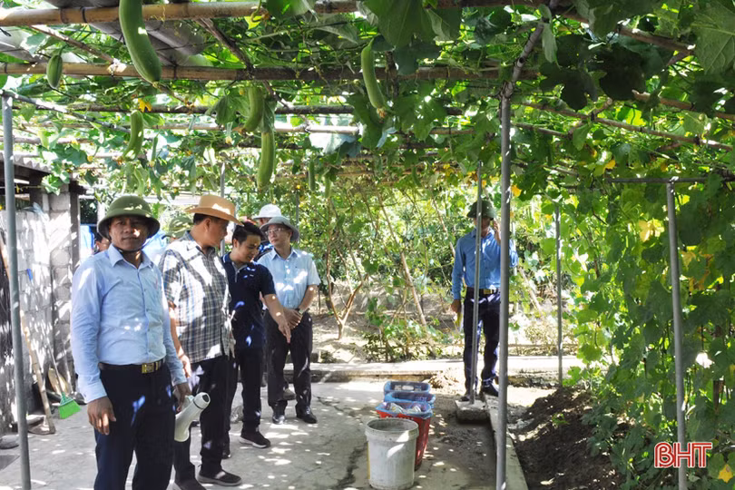 Cán bộ, lãnh đạo Savannakhet tham quan nông thôn mới Hà Tĩnh