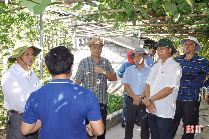 Cán bộ, lãnh đạo Savannakhet tham quan nông thôn mới Hà Tĩnh