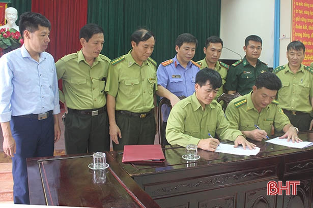 Thả 12 cá thể khỉ vào Vườn Quốc gia Vũ Quang