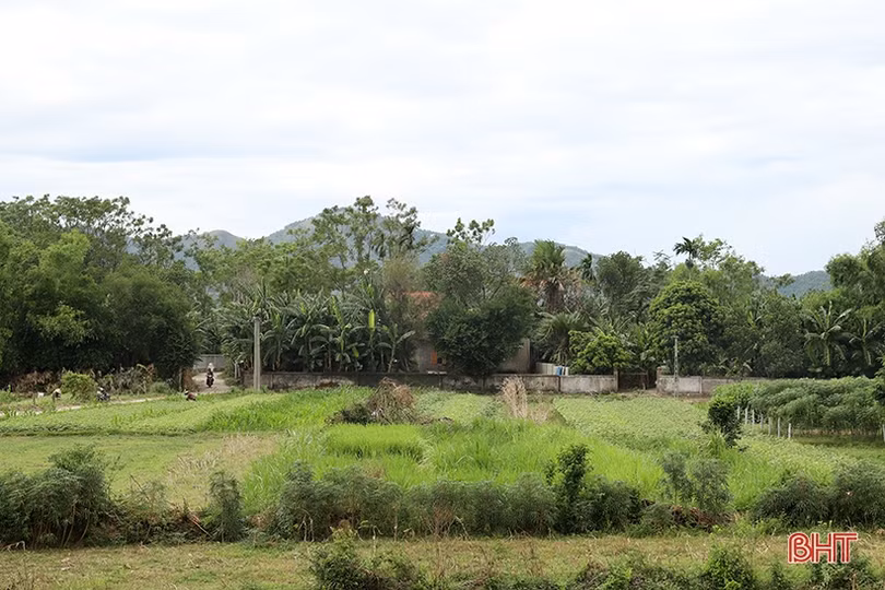 Đê Tân Long “mong manh” trước mùa mưa bão