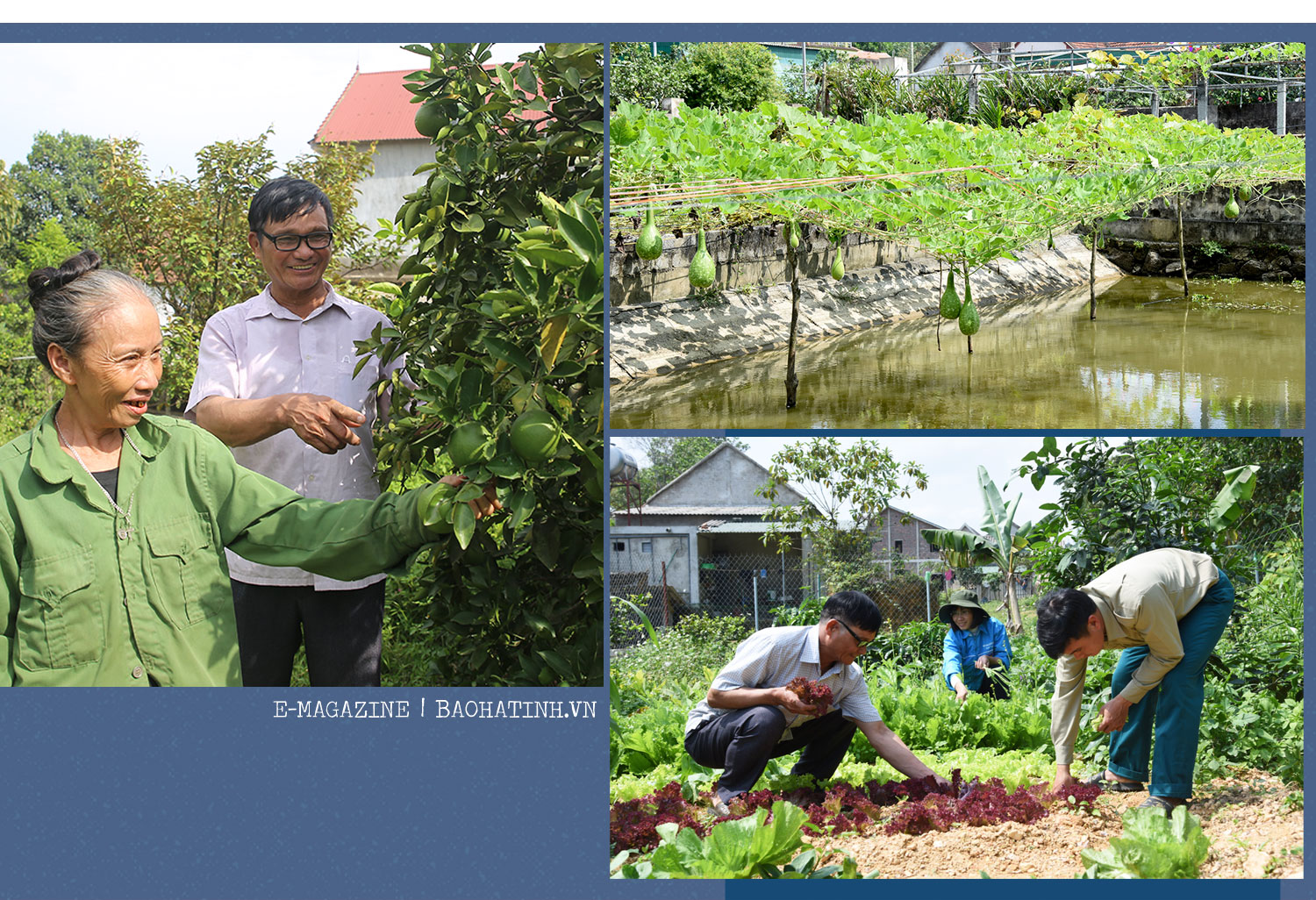 Đảng viên là người có đạo ở Hà Tĩnh - khi “hạt giống đỏ” được ươm mầm (bài 1): Niềm tự hào trong gia đình 3 đảng viên là người có đạo