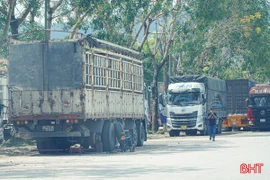 Phương tiện dừng đỗ tùy tiện tại khu vực cổng B - KKT Cửa khẩu quốc tế Cầu Treo