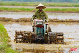Người dân Hà Tĩnh khẩn trương làm đất sản xuất vụ hè thu
