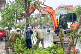 "Cứu" cây xanh sau bão số 5 ở đô thị trung tâm Hà Tĩnh