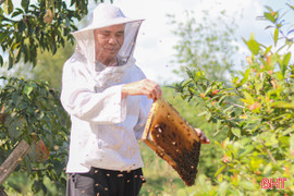 Nghị lực của ông Học