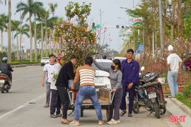 Thị trường hoa Tết chờ "cú hích" những ngày cuối