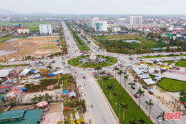 Thị trường hoa Tết chờ "cú hích" những ngày cuối