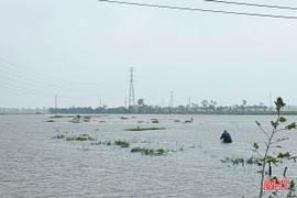 Nước lũ dâng cao, nhiều người vẫn liều mình đánh bắt cá