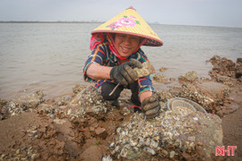 Cuối năm bám biển mưu sinh, nhặt "lộc biển" lo Tết