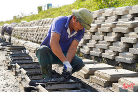 Tốc lực duy tu, bảo dưỡng các điểm xung yếu trên tuyến đê La Giang