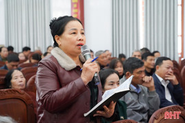 Cử tri kiến nghị sớm có chính sách hỗ trợ khôi phục sản xuất sau thiên tai