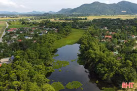 Sớm khơi thông, cải tạo để Bàu Hàn "xanh" trở lại