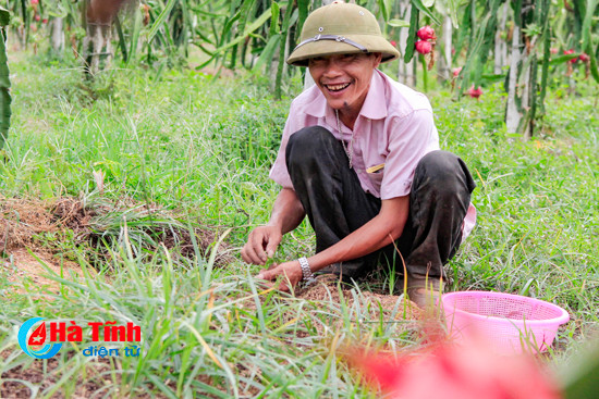 photo len doi ngoc son hai qua rong xanh