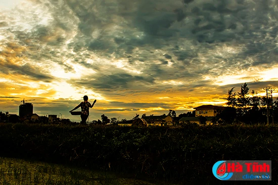 photo nhung khoanh khac dep tren dai dat hong lam