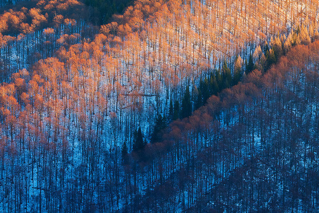 lang nguoi ve dep noi bien gioi ba lan slovakia