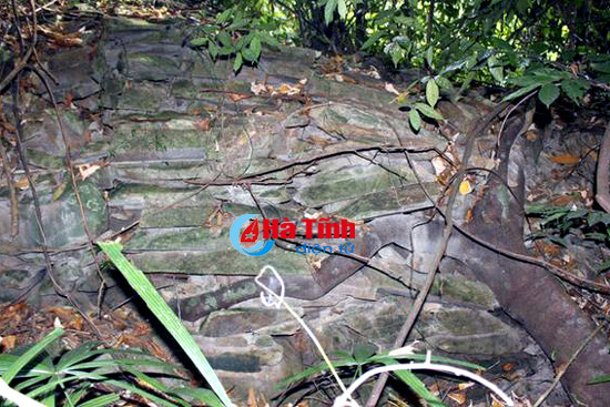 phat hien them mot luy da co nhieu ky bi o ky anh