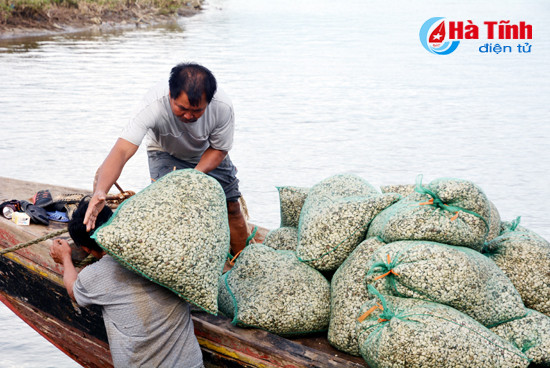nong dan ky ha tha nuoi ngheu thuong pham tro lai