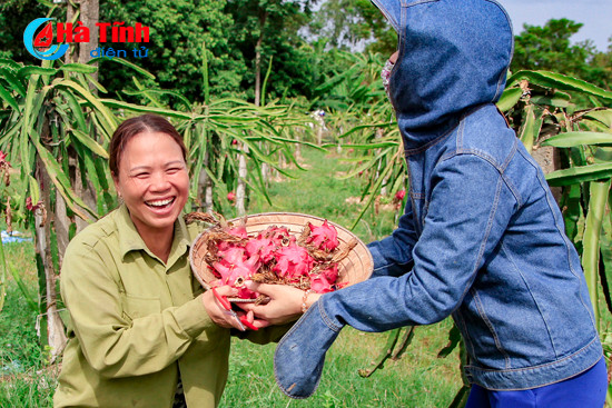 photo len doi ngoc son hai qua rong xanh