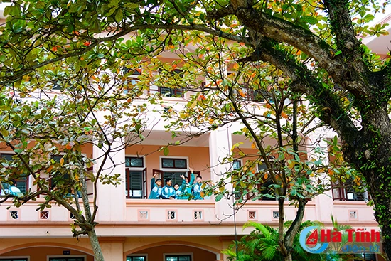 photo nhung khoanh khac dep tren dai dat hong lam