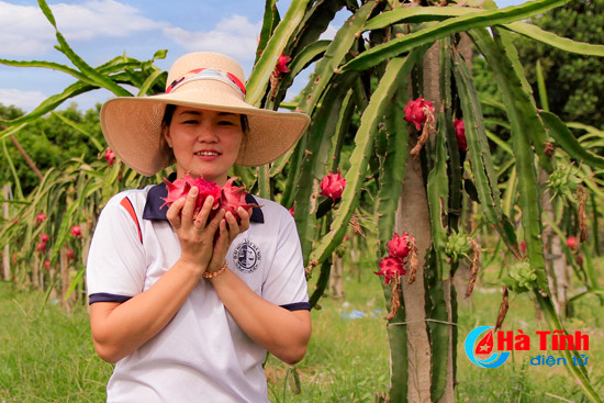 photo len doi ngoc son hai qua rong xanh