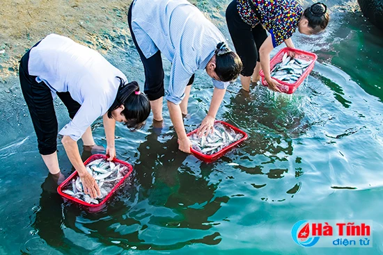 photo nhung khoanh khac dep tren dai dat hong lam